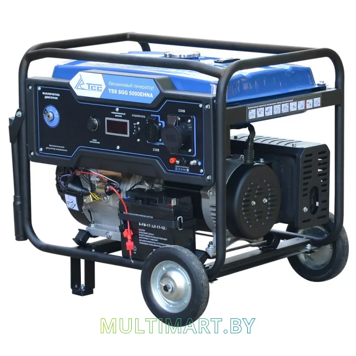 Бензиновый генератор ТСС SGG 5000EHNA